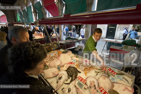 Venice 5/5/12 - One of the best fishmonger in the Rialto Fishmarket. Marco Bergamasco - pescivendolo di Rialto pesce mercato ©Graziano Arici/Rosebud2