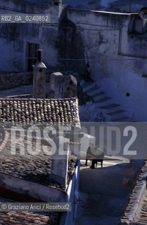 - Monte SantAngelo (Puglia),2002.La cittadina di Monte SantAngelo. Geo centro cittadina case Monte SantAngelo.- Monte SantAngelo (Puglia),2002. The little city of Monte SantAngelo ©Graziano Arici/Rosebud2