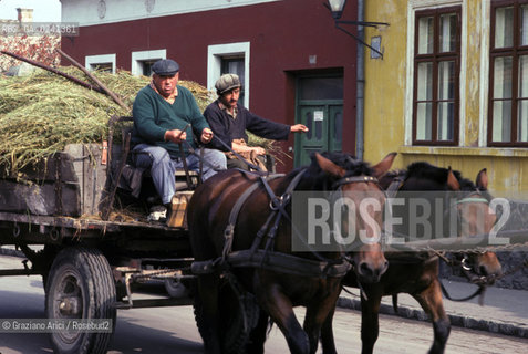- Ungheria,città di SantAndrea,Szentendre,1978.Museo agricolo.GEO museo agricoltura cavallo carro.- Hungary,Szentendre, 1978.Museum of the agriculture Mes ©  Graziano Arici