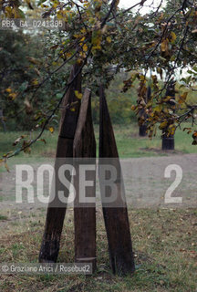 - Ungheria,Budapest,1978.II cimitero,tombe transilvaniche. GEO cimitero tombe Transilvania.- Hungary,Budapest,1978.The cemetery, Tombs of the Transylvania.Mes ©  Graziano Arici