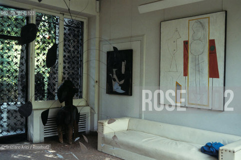 Venezia,1979.Palazzo Venier dei Leoni. Collezione Peggy Guggenheim.Arte collezione casa collezione Museo Palazzo.Venice,1979.Palazzo Venier dei Leoni.Peggy Guggenheim Collection  ©Graziano Arici/Rosebud2  astga ©Graziano Arici/Rosebud2