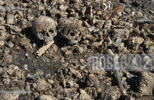 Venezia,1991. Scavi archeologici a San Marco in Boccalama sulla galea del1300. Scavo archeologia Boccalama galea Archeo RELITTO B teschio.venice,1991. Archaeological excavations in San Marco in Boccalama: the galley ©Graziano Arici/Rosebud2