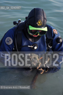 Venezia,1991. Scavi archeologici a San Marco in Boccalama sulla galea del1300. Scavo archeologia Boccalama galea Archeo subacqueo.venice,1991. Archaeological excavations in San Marco in Boccalama: the galley ©Graziano Arici/Rosebud2