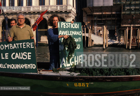 -venezia,1990. Pescatori di Burano raccolgono alghe dalla laguna durante una manifestazione di protesta. Inquinamento laguna alghe pescatore protesta Burano.-venice,1990. Fishermens protest against pollution of the lagoon:fishermen collect algae in the lagoon ©Graziano Arici/Rosebud2