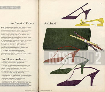 Venice 9/3/12 - Fortuny Palace Museum : Diana Vreeland after Diana Vreeland  Exposition: Harpers Bazaar january 1955 moda - archiviograziano arici