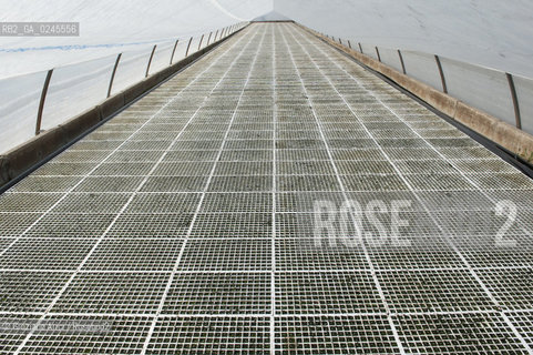 Foiano (Arezzo) 21/3/12 - Crescita delle piantine di tabacco in serra ©Graziano Arici/Rosebud2