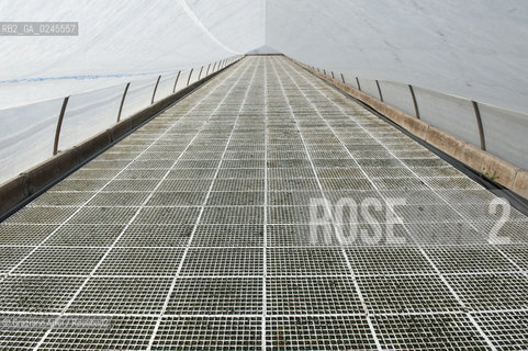 Foiano (Arezzo) 21/3/12 - Crescita delle piantine di tabacco in serra ©Graziano Arici/Rosebud2