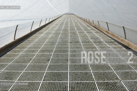 Foiano (Arezzo) 21/3/12 - Crescita delle piantine di tabacco in serra ©Graziano Arici/Rosebud2