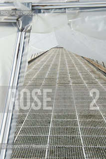 Foiano (Arezzo) 21/3/12 - Crescita delle piantine di tabacco in serra ©Graziano Arici/Rosebud2