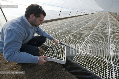 Foiano (Arezzo) 21/3/12 - Crescita delle piantine di tabacco in serra ©Graziano Arici/Rosebud2