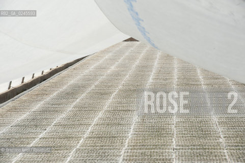 Foiano (Arezzo) 21/3/12 - Crescita delle piantine di tabacco in serra ©Graziano Arici/Rosebud2