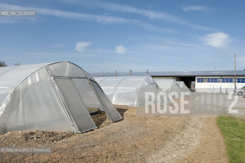 Foiano (Arezzo) 21/3/12 - Crescita delle piantine di tabacco in serra ©Graziano Arici/Rosebud2