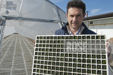 Foiano (Arezzo) 21/3/12 - Crescita delle piantine di tabacco in serra ©Graziano Arici/Rosebud2