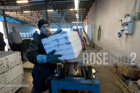 Foiano (Arezzo) 21/3/12 - Preparazione dei plateau con torba e seme impillolato ©Graziano Arici/Rosebud2