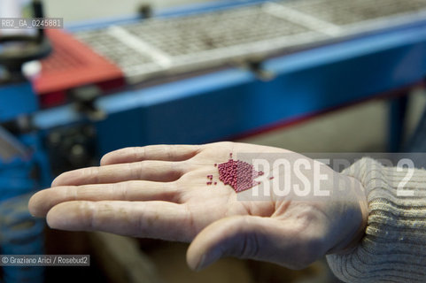 Foiano (Arezzo) 21/3/12 - Preparazione dei plateau con torba e seme impillolato ©Graziano Arici/Rosebud2