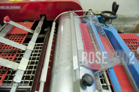 Foiano (Arezzo) 21/3/12 - Preparazione dei plateau con torba e seme impillolato ©Graziano Arici/Rosebud2