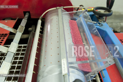 Foiano (Arezzo) 21/3/12 - Preparazione dei plateau con torba e seme impillolato ©Graziano Arici/Rosebud2