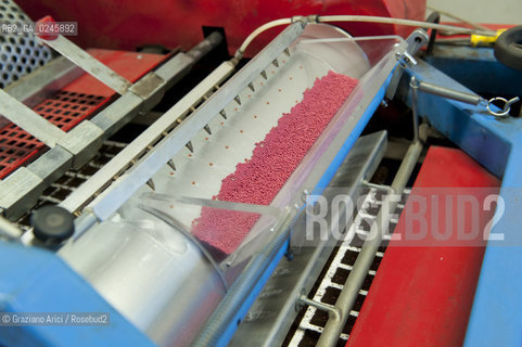 Foiano (Arezzo) 21/3/12 - Preparazione dei plateau con torba e seme impillolato ©Graziano Arici/Rosebud2