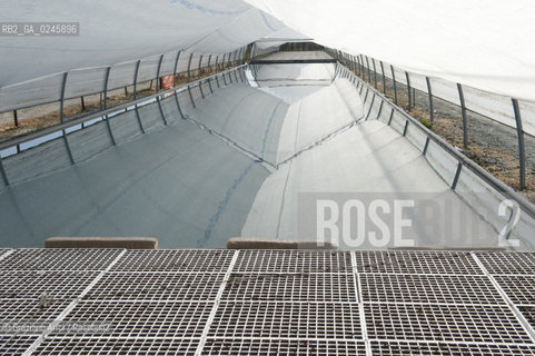 Foiano (Arezzo) 21/3/12 - Crescita delle piantine di tabacco in serra ©Graziano Arici/Rosebud2