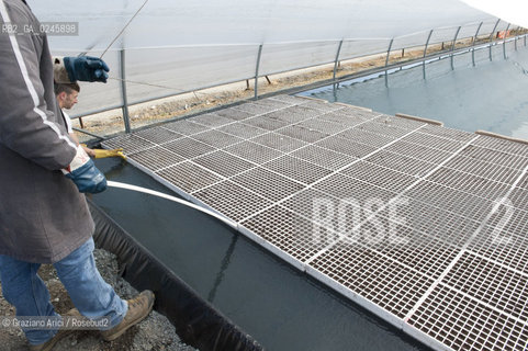 Foiano (Arezzo) 21/3/12 - Crescita delle piantine di tabacco in serra ©Graziano Arici/Rosebud2