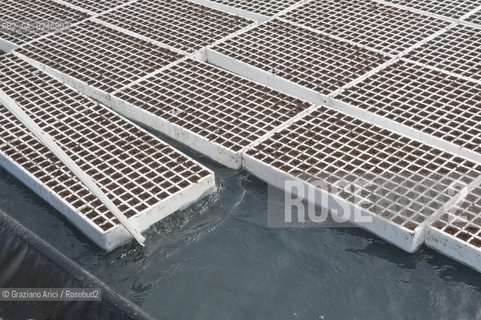 Foiano (Arezzo) 21/3/12 - Crescita delle piantine di tabacco in serra ©Graziano Arici/Rosebud2