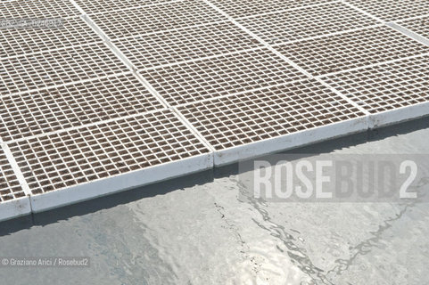 Foiano (Arezzo) 21/3/12 - Crescita delle piantine di tabacco in serra ©Graziano Arici/Rosebud2