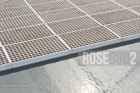 Foiano (Arezzo) 21/3/12 - Crescita delle piantine di tabacco in serra ©Graziano Arici/Rosebud2