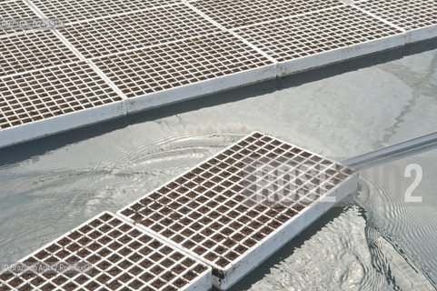 Foiano (Arezzo) 21/3/12 - Crescita delle piantine di tabacco in serra ©Graziano Arici/Rosebud2