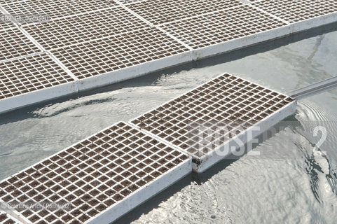 Foiano (Arezzo) 21/3/12 - Crescita delle piantine di tabacco in serra ©Graziano Arici/Rosebud2