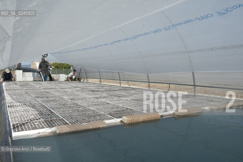 Foiano (Arezzo) 21/3/12 - Crescita delle piantine di tabacco in serra ©Graziano Arici/Rosebud2