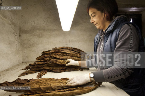 Tozzo (Arezzo) 21/3/12 - Lavorazione del tabacco essiccato, preparazione, cernita, e allestimenti in mazzi e sucessiva inscatolatura del tabacco ©Graziano Arici/Rosebud2