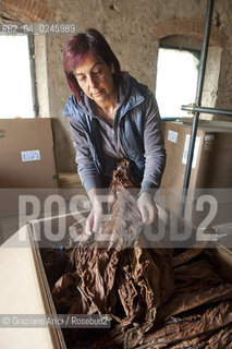 Tozzo (Arezzo) 21/3/12 - Lavorazione del tabacco essiccato, preparazione, cernita, e allestimenti in mazzi e sucessiva inscatolatura del tabacco ©Graziano Arici/Rosebud2