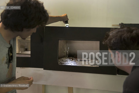 Venice 19/06/12 - Gli allievi del II Biennio di Scenografia della Accademia di Belle Arti di Venezia lavorano alla preparazione delle scenografie per gli spettacoli messi in scena da giovani al Gran Teatro la Fenice ©Graziano Arici/Rosebud2