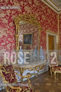 Venezia giugno 2012 : The Royal Palace - Ala Napoleonica Palazzo Reale : Sala delle Udienze dellImperatrice Sissi Elisabeth ©Graziano Arici/Rosebud2