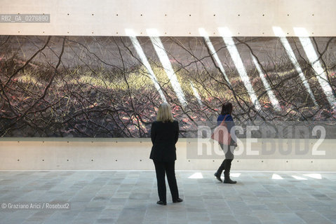 Venice 28 may 2013 - Punta della Dogana Pinault Foundation Zeng Fanzhi room arte ©Graziano Arici/Rosebud2