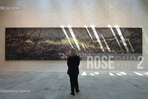 Venice 28 may 2013 - Punta della Dogana Pinault Foundation Zeng Fanzhi room arte ©Graziano Arici/Rosebud2