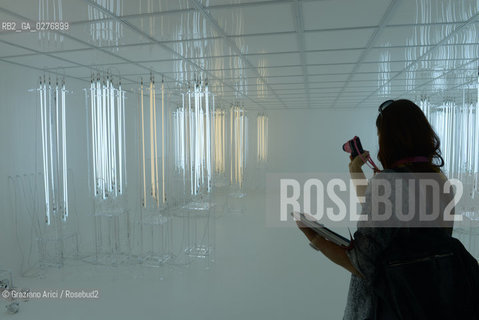 Venice 28 may 2013 - Punta della Dogana Pinault Foundation Loris Greaud room arte ©Graziano Arici/Rosebud2