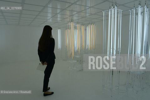 Venice 28 may 2013 - Punta della Dogana Pinault Foundation Loris Greaud room arte ©Graziano Arici/Rosebud2