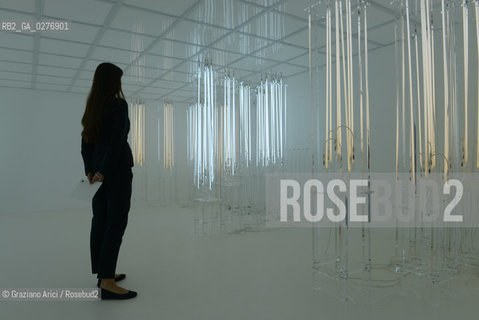 Venice 28 may 2013 - Punta della Dogana Pinault Foundation Loris Greaud room arte ©Graziano Arici/Rosebud2