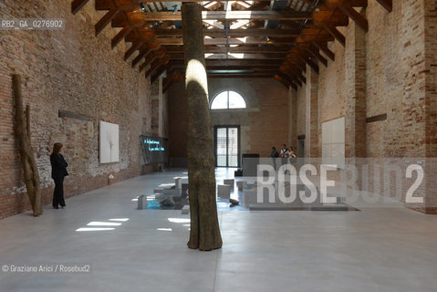 Venice 28 may 2013 - Punta della Dogana Pinault Foundation arte ©Graziano Arici/Rosebud2