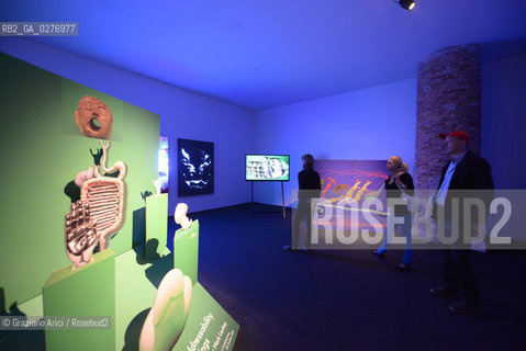 Venice 28 may 2013 - Il Palazzo Enciclopedico 55th Exhibition Corderie in Arsenale Stan VanDerBeeck Works - artist arte ©Graziano Arici/Rosebud2