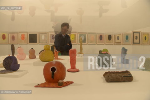 Venice 28 may 2013 - Il Palazzo Enciclopedico 55th Exhibition Biennale Gardens Main Pavillon  Ron Nagle Room - artist arte ©Graziano Arici/Rosebud2