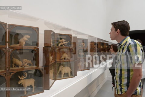 Venice 28 may 2013 - Il Palazzo Enciclopedico 55th Exhibition Biennale Gardens Main Pavillon  Levi Fisher Ames Room - artist arte ©Graziano Arici/Rosebud2