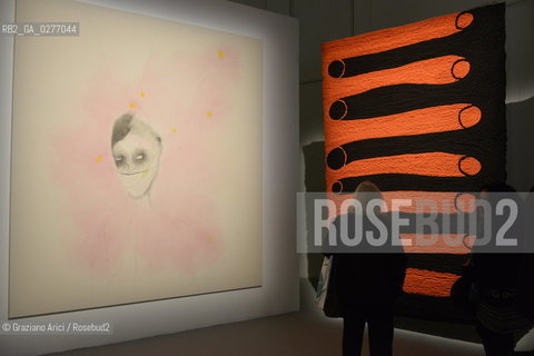 Venice 28 may 2013 - Il Palazzo Enciclopedico 55th Exhibition Biennale Gardens Main Pavillon  Enrico David Room - artist arte ©Graziano Arici/Rosebud2