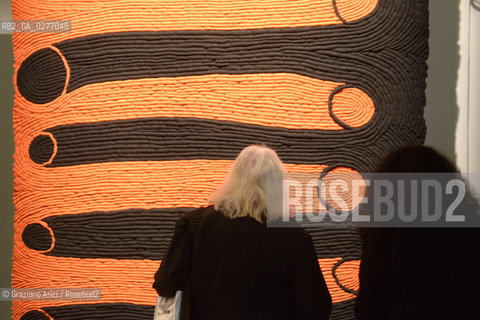 Venice 28 may 2013 - Il Palazzo Enciclopedico 55th Exhibition Biennale Gardens Main Pavillon  Enrico David Room - artist arte ©Graziano Arici/Rosebud2