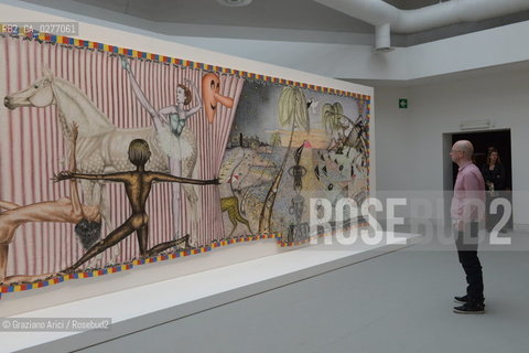 Venice 28 may 2013 - Il Palazzo Enciclopedico 55th Exhibition Biennale Gardens Main Pavillon  Jean-Frederic Schnyder Room - artist arte ©Graziano Arici/Rosebud2