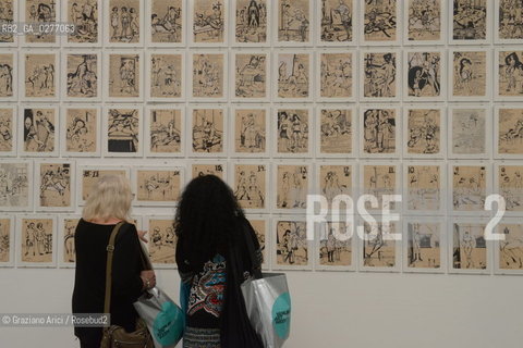 Venice 28 may 2013 - Il Palazzo Enciclopedico 55th Exhibition Biennale Gardens Main Pavillon  Evgenij Kozlov (E-E) Room - artist arte ©Graziano Arici/Rosebud2