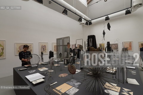 Venice 28 may 2013 - Il Palazzo Enciclopedico 55th Exhibition Biennale Gardens Main Pavillon  Eva Kotatkova Room - artist arte ©Graziano Arici/Rosebud2