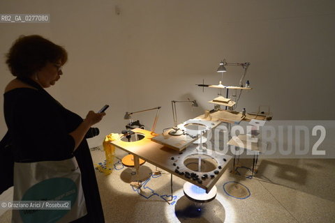 Venice 28 may 2013 - 55th Exhibition Biennale Gardens Main Pavillon USA Pavillon Sarah Szee Work - artist arte ©Graziano Arici/Rosebud2