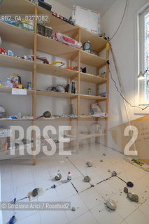 Venice 28 may 2013 - 55th Exhibition Biennale Gardens Main Pavillon USA Pavillon Sarah Szee Work - artist arte ©Graziano Arici/Rosebud2